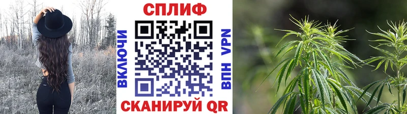 Шишки марихуана OG Kush  Купить закладки  Нахабино 